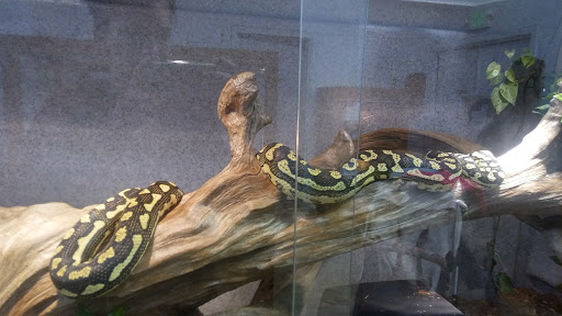 Zoo «Reptile Zoo», reviews and photos, 22715 US-2, Monroe, WA 98272, USA