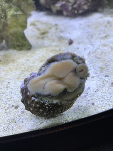 Pet Supply Store «Exotic Aquatic», reviews and photos, 275 E Oakland Park Blvd, Fort Lauderdale, FL 33334, USA