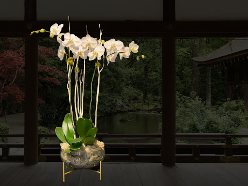 Florist «Amazing Flowers Miami», reviews and photos, 252 Sunny Isles Blvd #2b, Sunny Isles Beach, FL 33160, USA