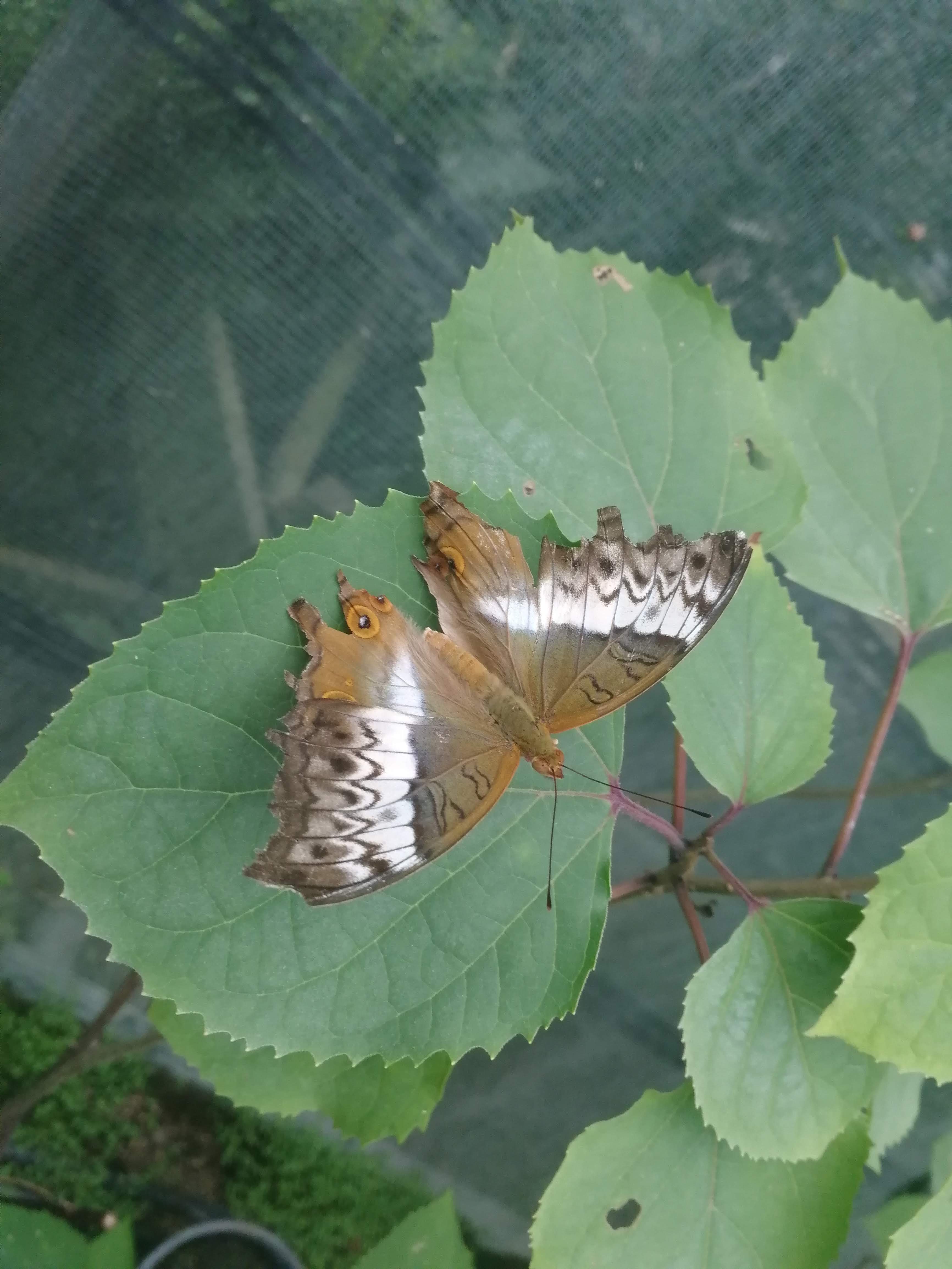 Photo n° 2 de l'avis de Stan.e fait le 04/08/2019 à 16:01