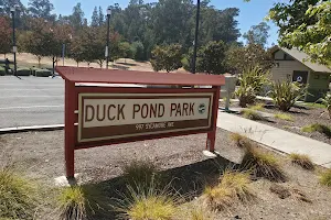 Duck Pond Park image