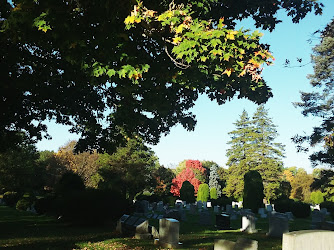 Arlington Cemetery