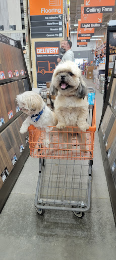 Home Improvement Store «The Home Depot», reviews and photos, 870 Woodstock Rd, Roswell, GA 30075, USA