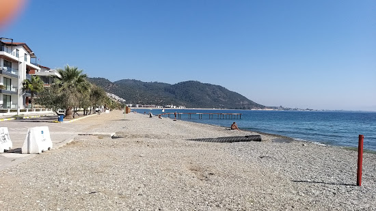 Antandros beach