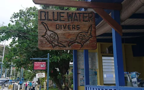 Blue Water Divers image