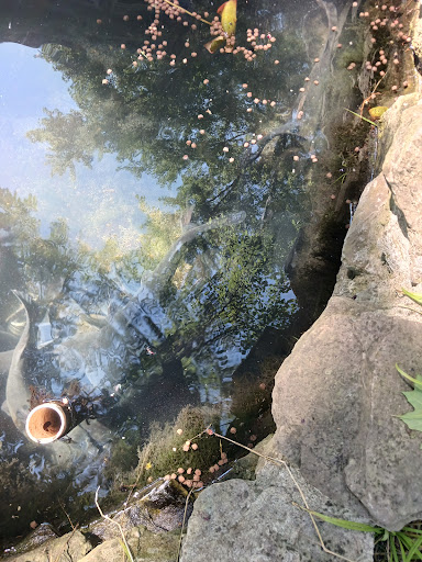 Park «Hudson Crossing Park», reviews and photos, S Harrison St, Oswego, IL 60543, USA