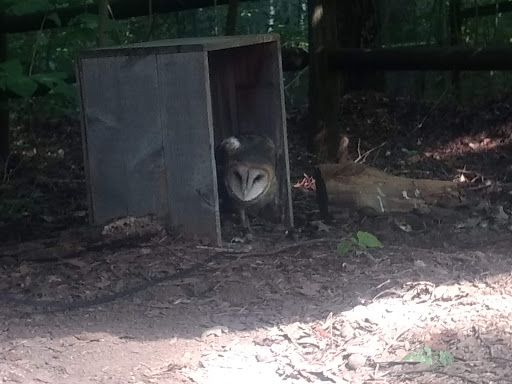 Tourist Information Center «Woodlands Nature Station», reviews and photos, 3146 Silver Trail Rd, Cadiz, KY 42211, USA