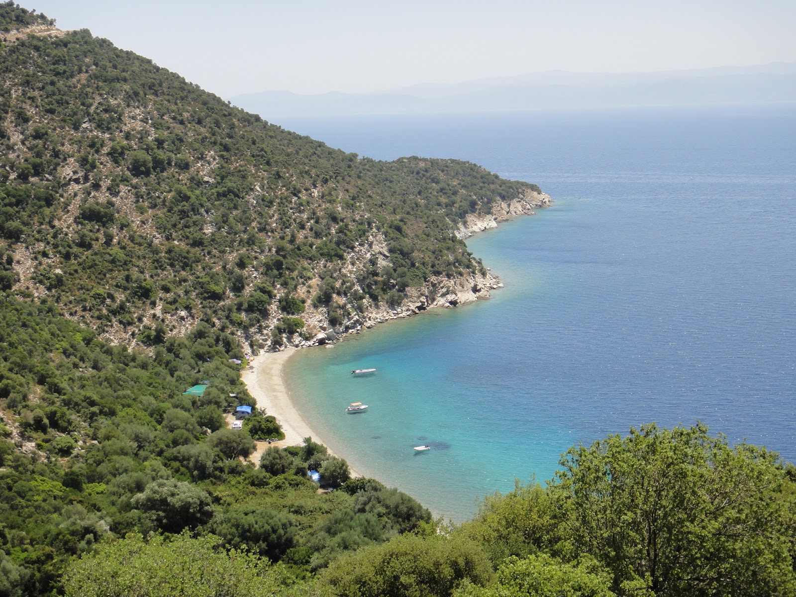 Φωτογραφία του St. Vaso beach άγρια περιοχή