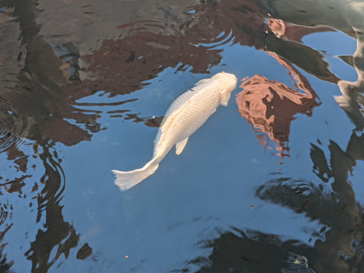 Museum «Lightner Museum», reviews and photos, 75 King St, St Augustine, FL 32084, USA