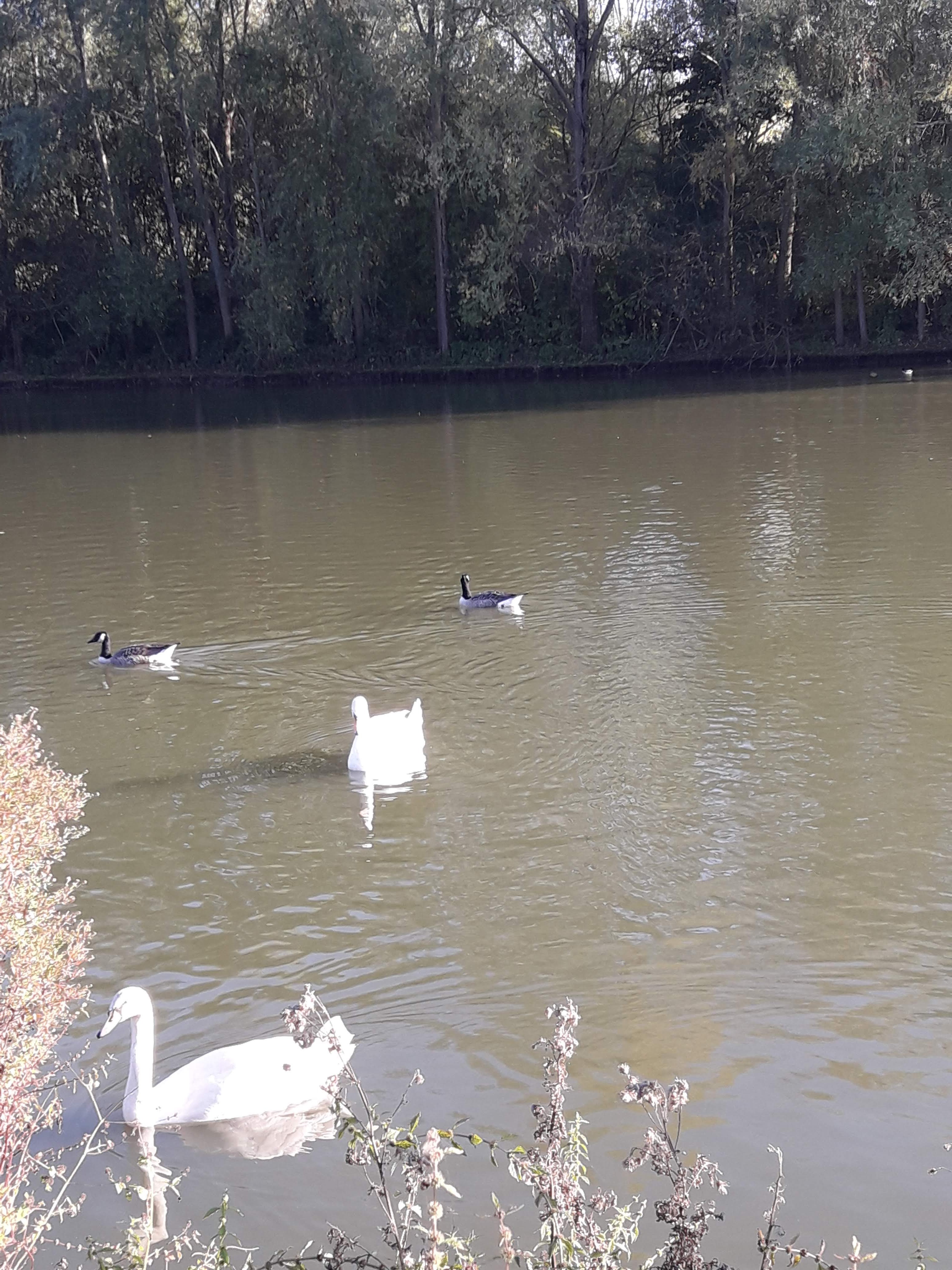 Photo n° 6 de l'avis de bridget.e fait le 21/10/2018 à 19:48
