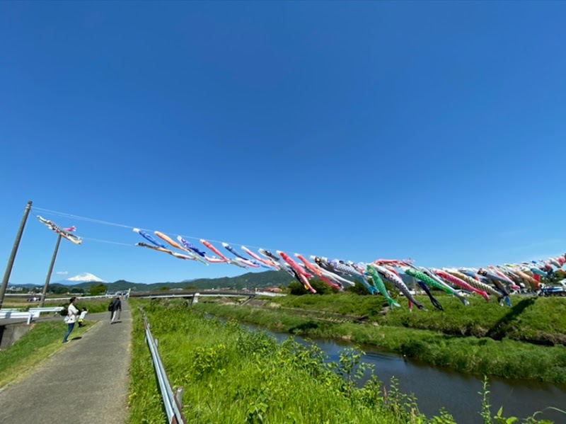 鈴川の鯉のぼり祭