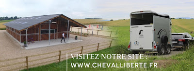 Cheval Liberté à Lignéville