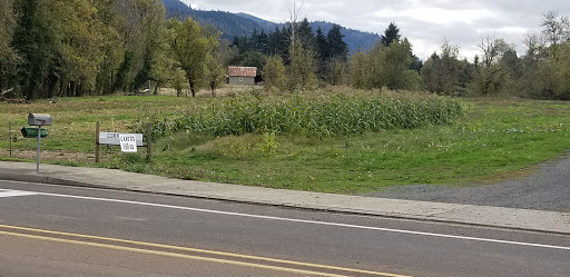 Golf Club «Emerald Valley Golf Club», reviews and photos, 83301 Dale Kuni Rd, Creswell, OR 97426, USA