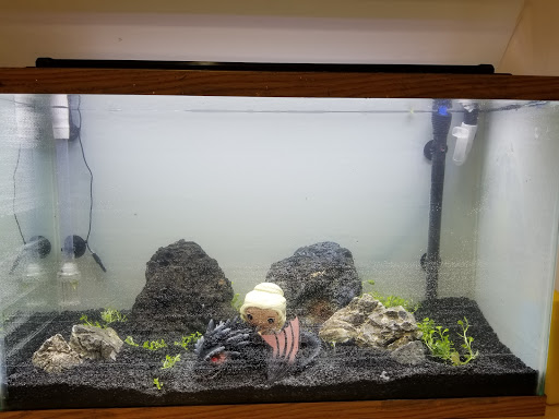 Aquarium «Pacific Aquarium & Plant Inc», reviews and photos, 46 Delancey St #1, New York, NY 10002, USA