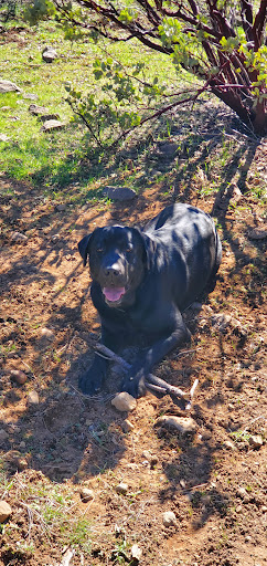 Pet Supply Store «Pet Supplies Plus», reviews and photos, 1411 S Stockton St, Lodi, CA 95240, USA