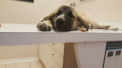 All Creatures Family Pet Center image