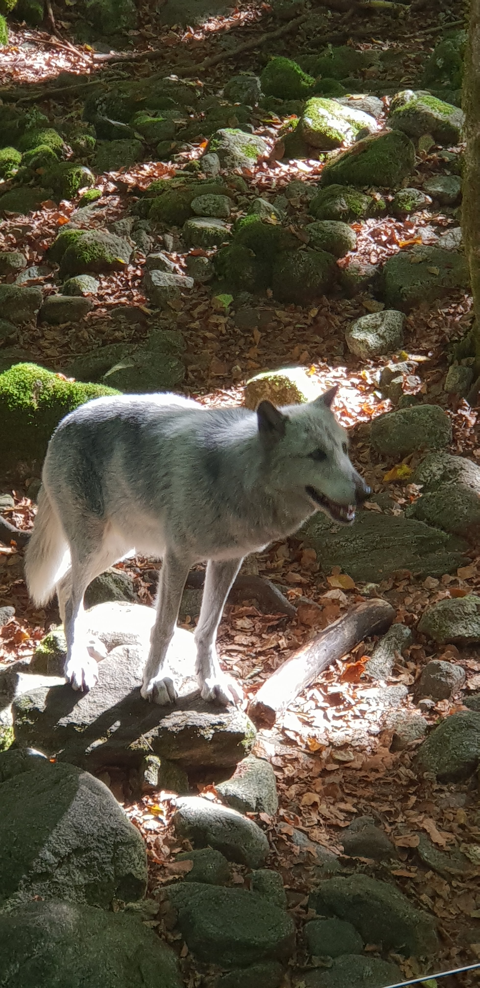 Photo n° 26 de l'avis de Christophe.e fait le 26/09/2018 à 10:29