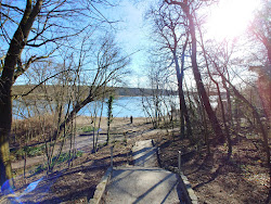 Foto von Stossensee Spandau Beach befindet sich in natürlicher umgebung