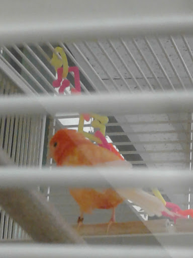 Pet Supply Store «Petco Animal Supplies», reviews and photos, 450 N Rte 17, Paramus, NJ 07652, USA