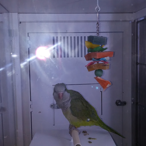 Pet Supply Store «Petco Animal Supplies», reviews and photos, 45205 Worth Ave, California, MD 20619, USA