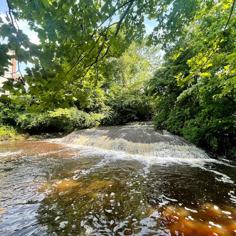 Overlook by the Falls