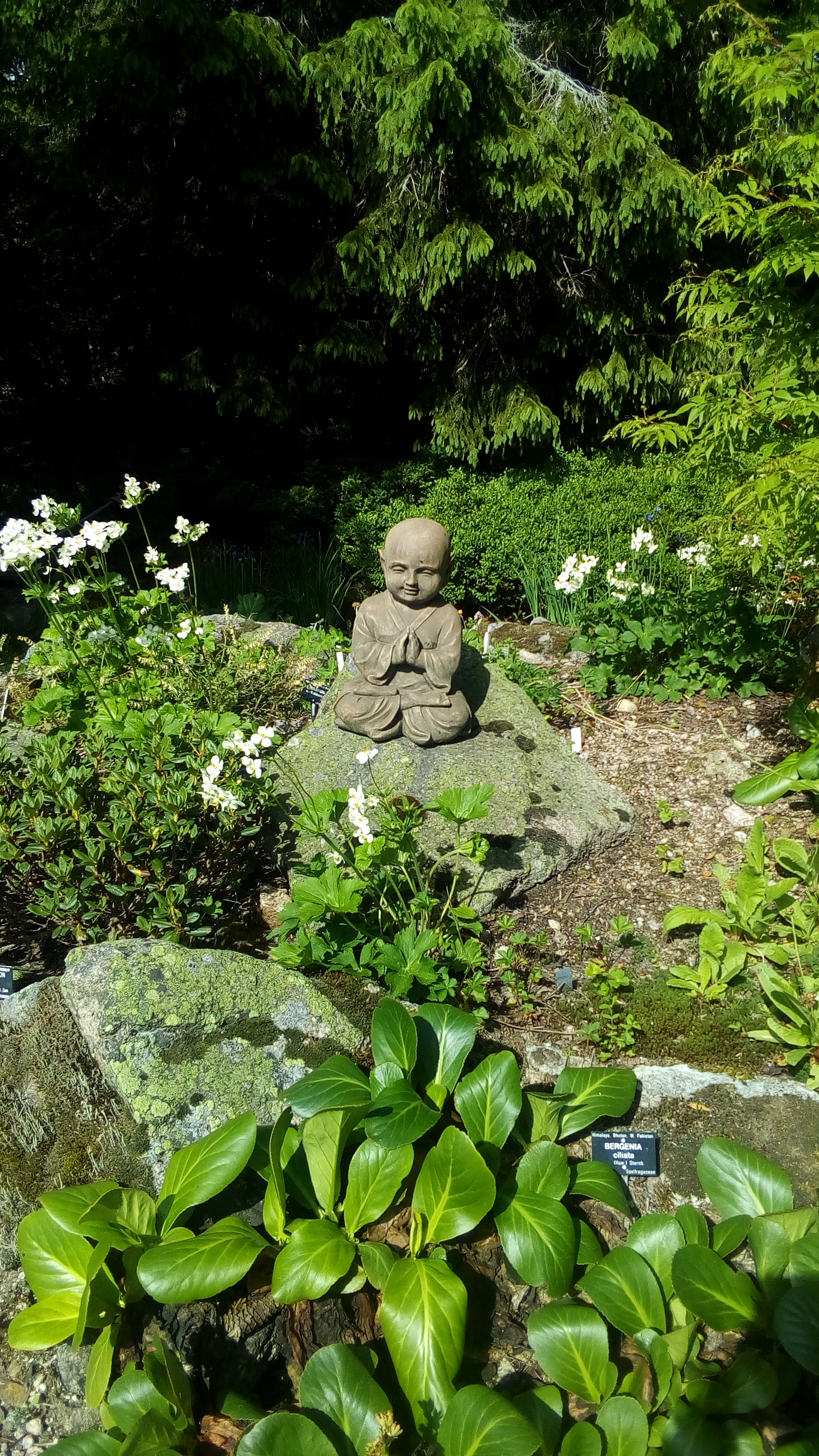 Photo n° 4 de l'avis de Catherine.a fait le 23/06/2019 à 16:22