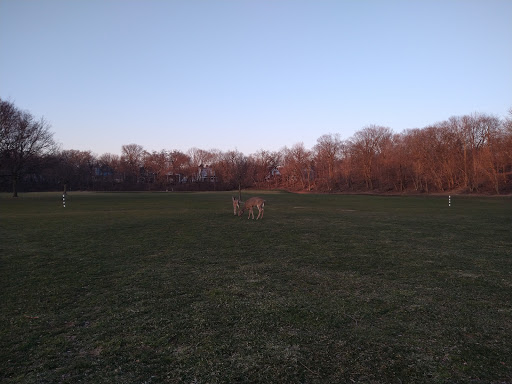 Golf Course «Edgebrook Golf Course», reviews and photos, 6100 N Central Ave, Chicago, IL 60646, USA