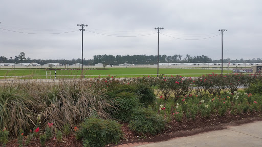 Casino «Delta Downs Racetrack Casino Hotel», reviews and photos, 2717 Delta Downs Dr, Vinton, LA 70668, USA
