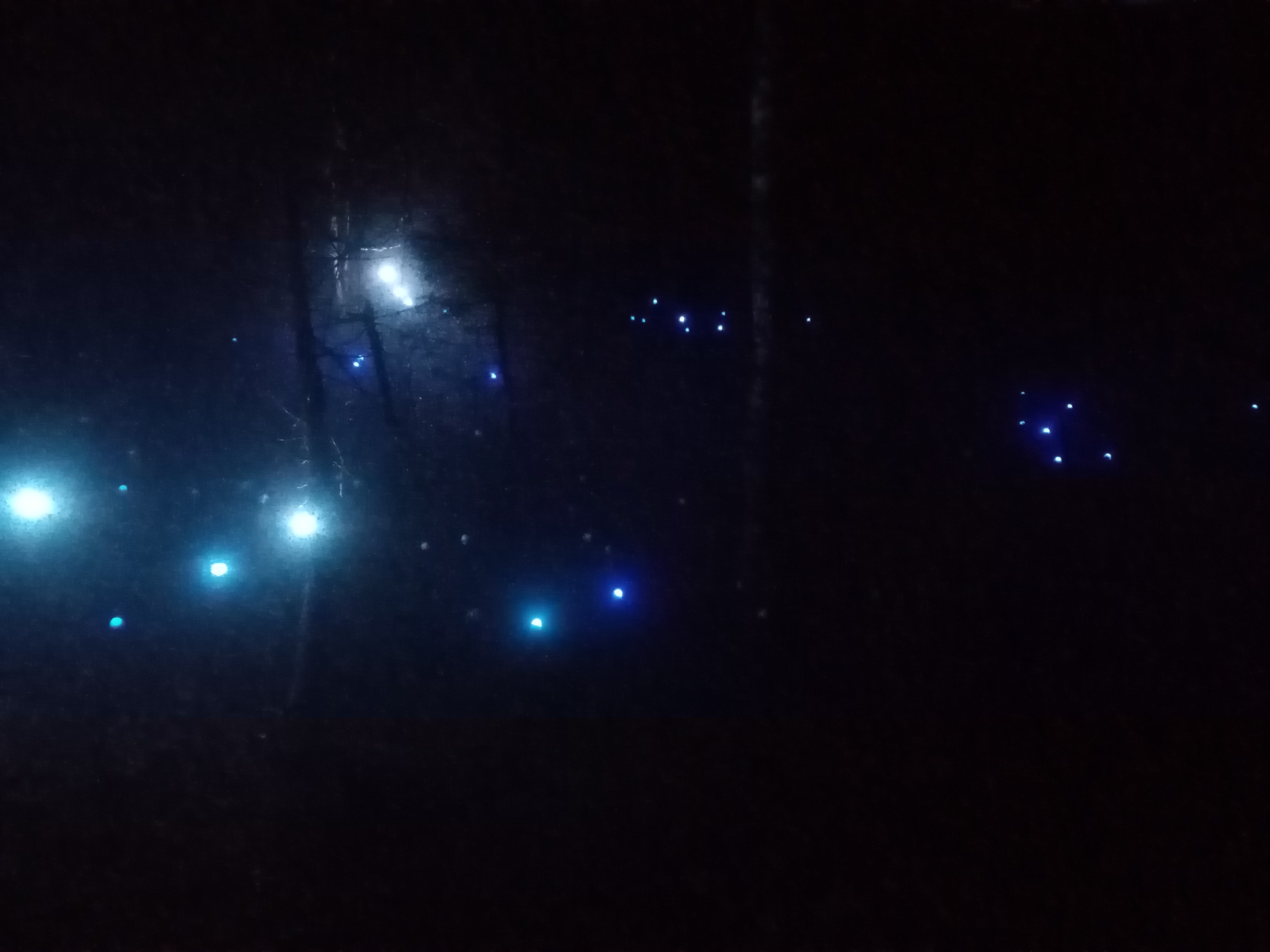 Photo n° 5 de l'avis de Victor.a fait le 17/08/2021 à 21:24