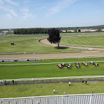 Photo n° 4 de l'avis de vincent.u fait le 18/05/2018 à 20:37 pour Hippodrome de Chantilly ouvert les jours de courses à Chantilly