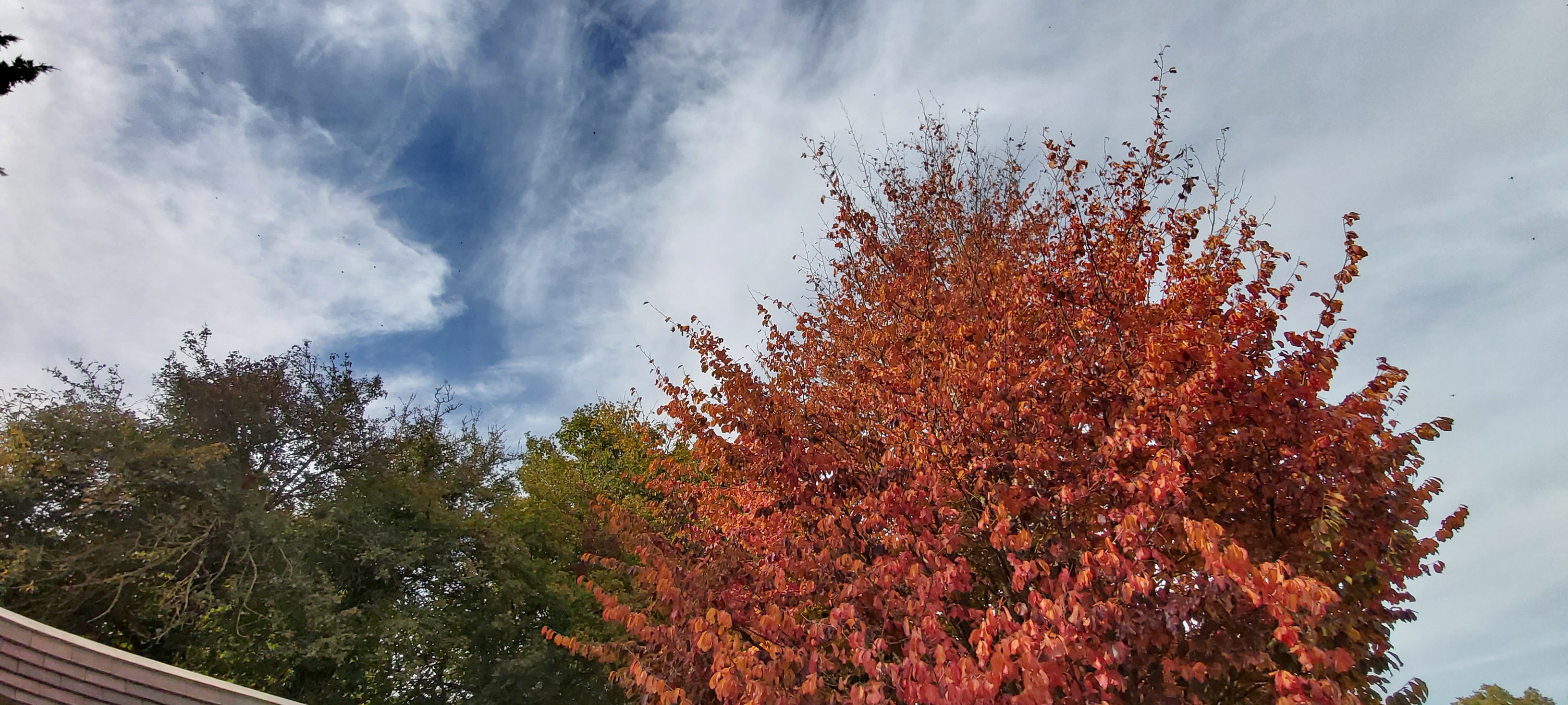 Photo n° 3 de l'avis de Marie-France.o fait le 17/10/2021 à 14:10