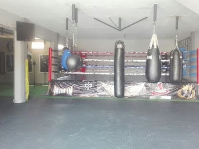 Gimnasio de box Sanchez Ayala - Marcos Castellanos, 47870 Ocotlán, Jalisco, Mexico