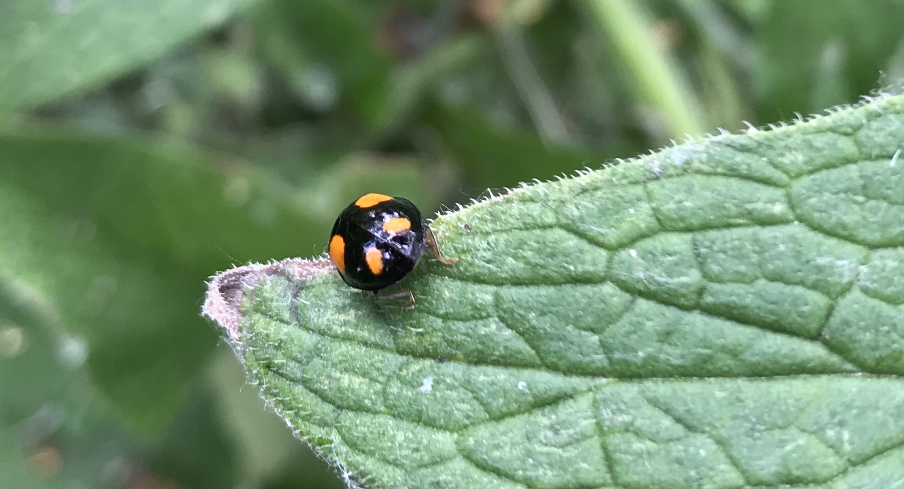 Photo n° 1 de l'avis de alex. fait le 12/07/2019 à 18:07