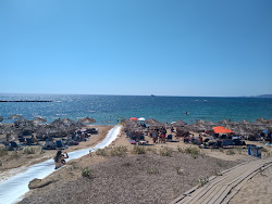 Petrochori beach'in fotoğrafı doğal alan içinde bulunmaktadır