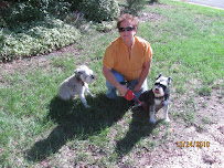 All For Cobalt In Home Pet Care - Photo 2 - Car repair in Chesterfield, VA, Richmond