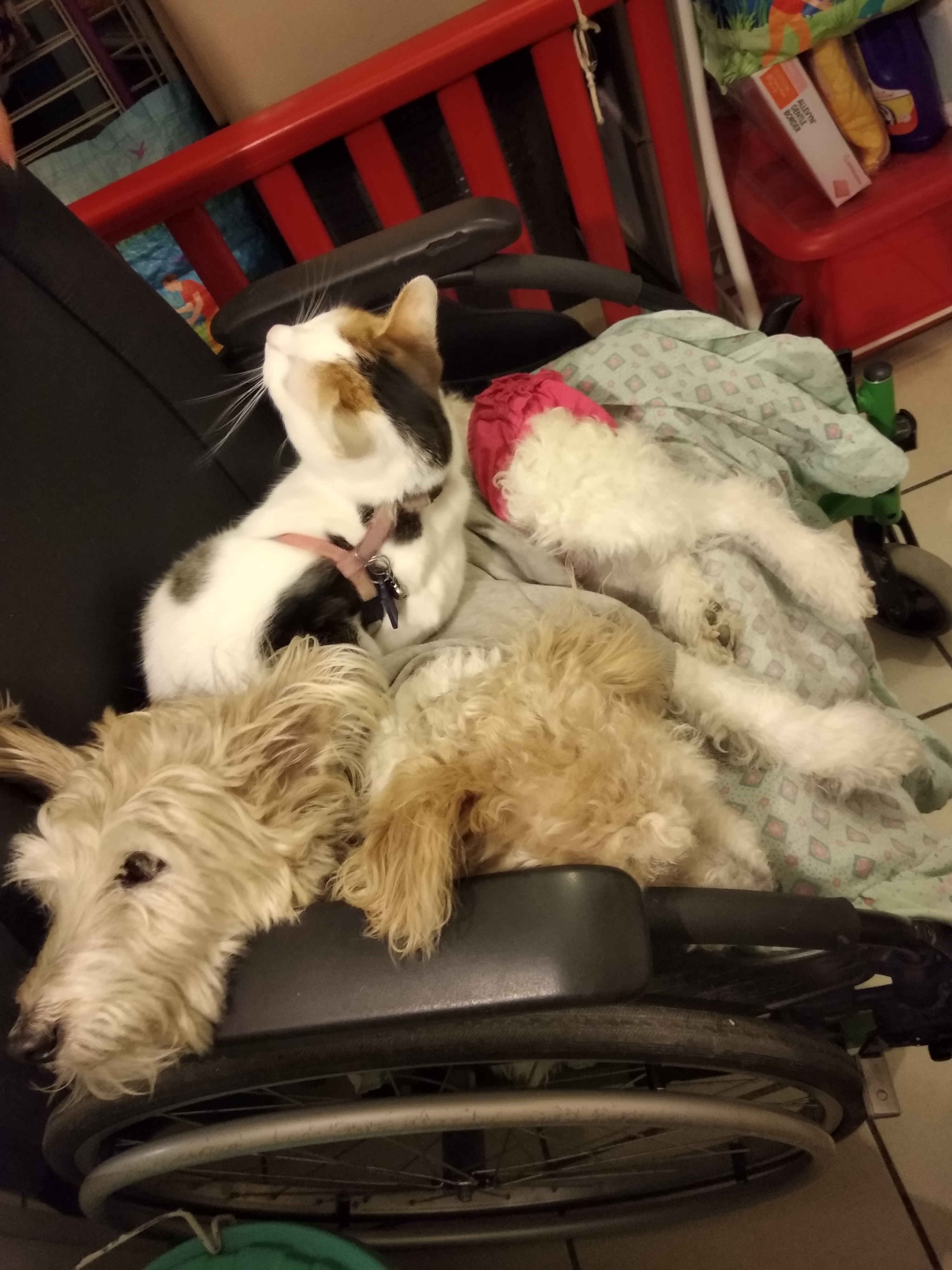 Photo n° 4 de l'avis de Marie-claude.l fait le 03/03/2017 à 14:46