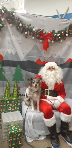 Pet Supply Store «PetSmart», reviews and photos, 7290 W Bell Rd, Glendale, AZ 85308, USA