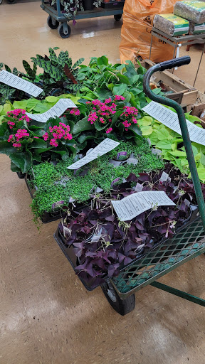 Garden Center «Chesterton Feed & Garden Center», reviews and photos, 400 Locust St, Chesterton, IN 46304, USA