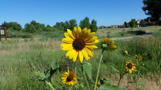 Park «Cherry Creek Valley Ecological Park», reviews and photos, 7500 S Jasper Ct, Centennial, CO 80112, USA