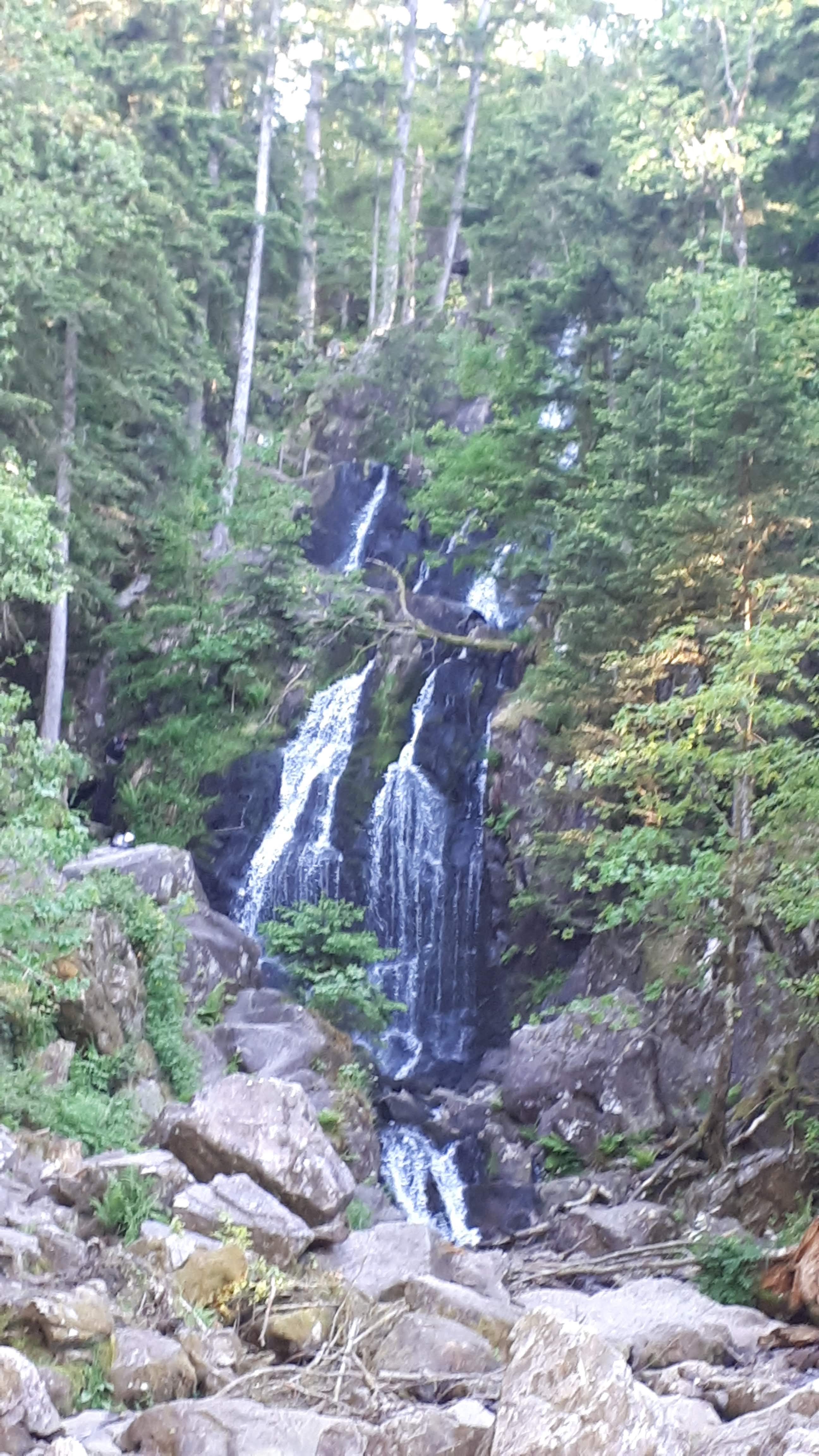 Photo n° 1 de l'avis de dominique.e fait le 14/06/2019 à 19:28