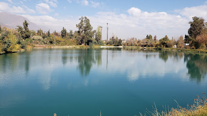 Araucaria Paisajismo Ltda.