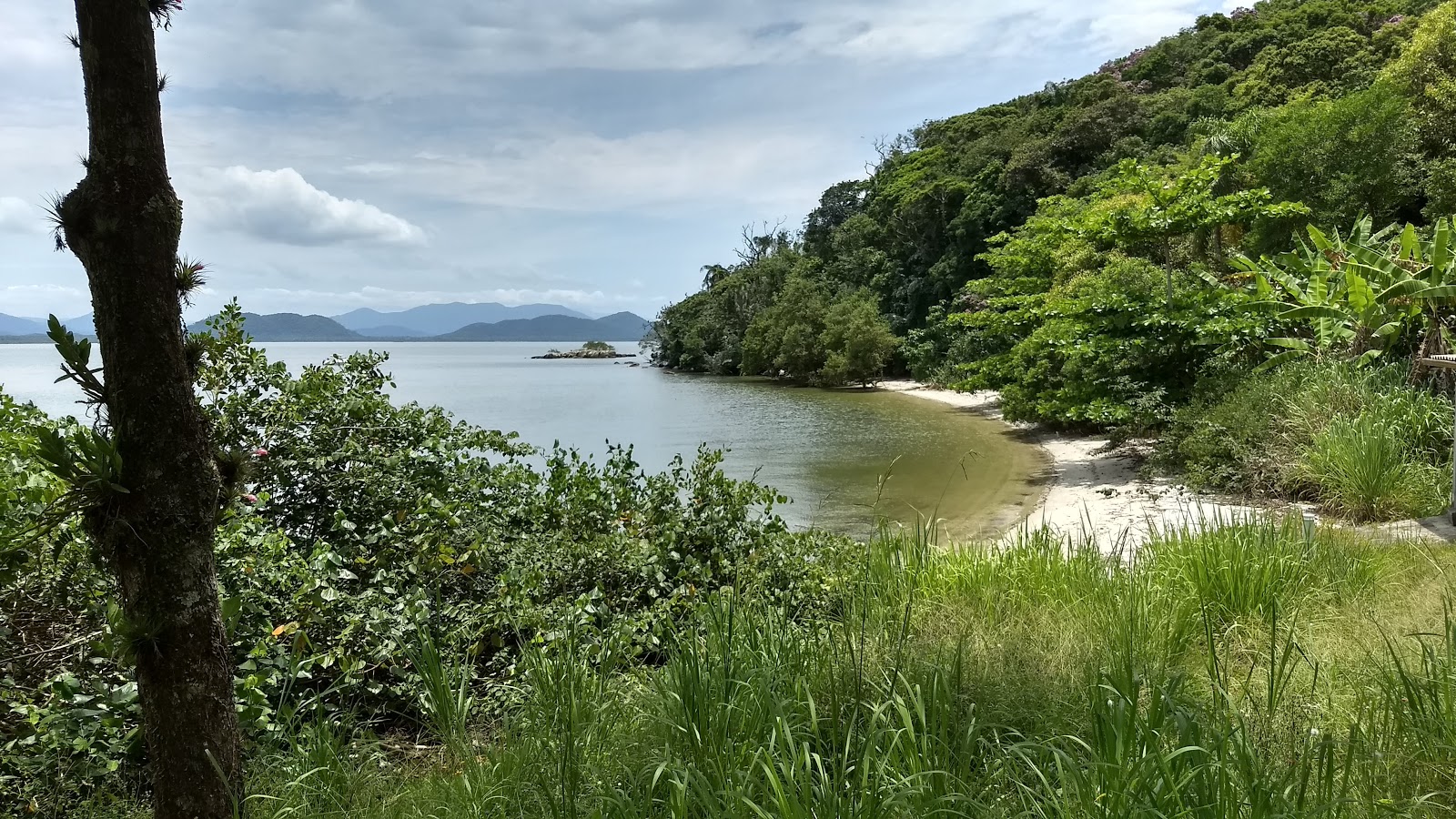 Photo de Ilha das Cobras Beach zone sauvage