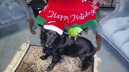 Jeweler «American Jeweler», reviews and photos, 3837 N High School Rd # 6, Indianapolis, IN 46254, USA