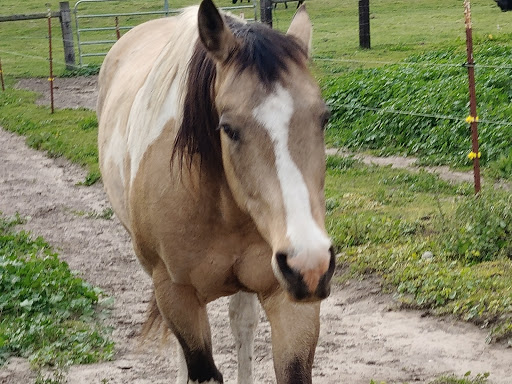 Agricultural Service «Farm Supply Company», reviews and photos, 224 Tank Farm Rd, San Luis Obispo, CA 93401, USA