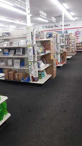 Dollar Store «Dollar Tree», reviews and photos, 3005 Wiley Blvd SW #120, Cedar Rapids, IA 52404, USA