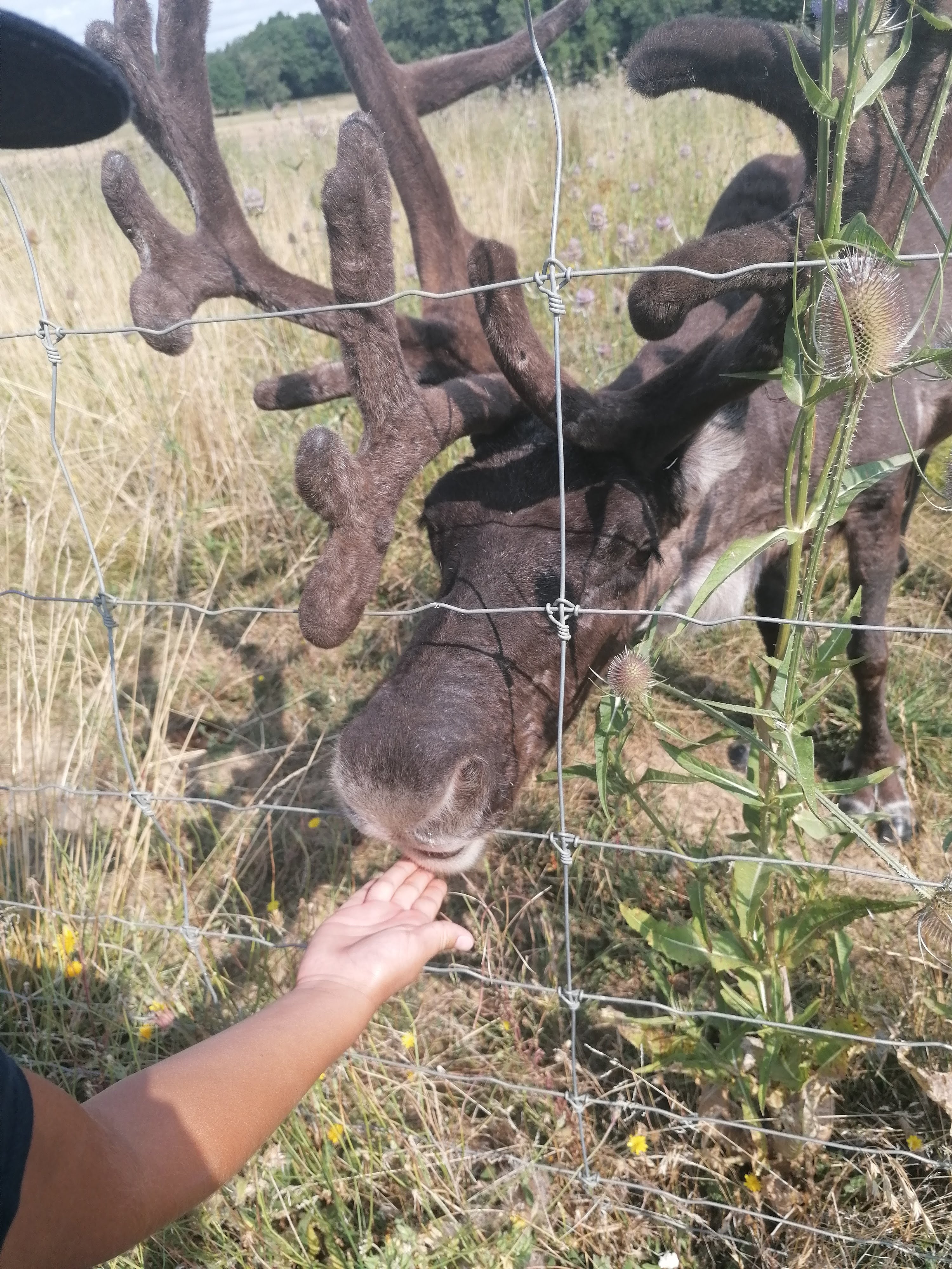 Photo n° 1 de l'avis de Laure.M fait le 29/07/2022 à 19:52