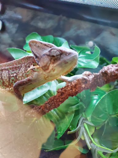 Pet Supply Store «Petco Animal Supplies», reviews and photos, 200 Center Blvd S, Christiana, DE 19702, USA