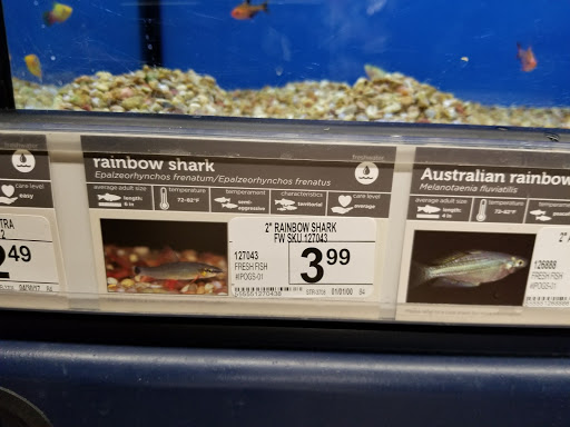 Pet Supply Store «Petco Animal Supplies», reviews and photos, 710 Franklin Ave, Franklin Square, NY 11010, USA