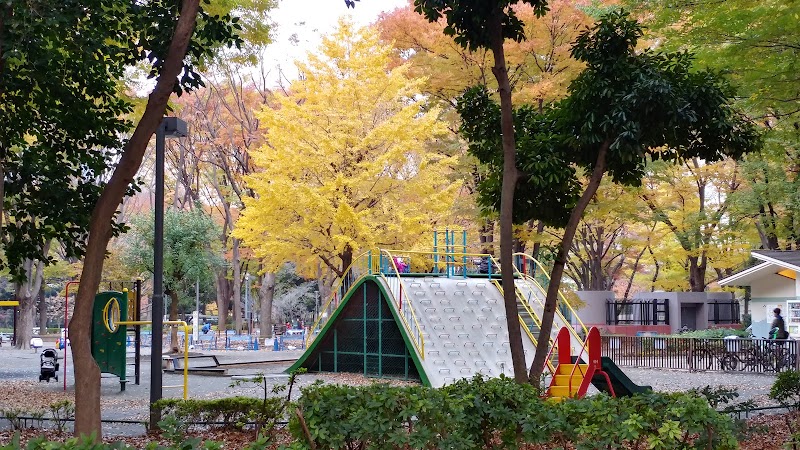 新宿中央公園複合遊具