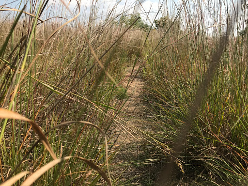 Nature Preserve «Pine Bend Bluffs Scientific and Natural Area (SNA)», reviews and photos, 111th St E, Inver Grove Heights, MN 55077, USA